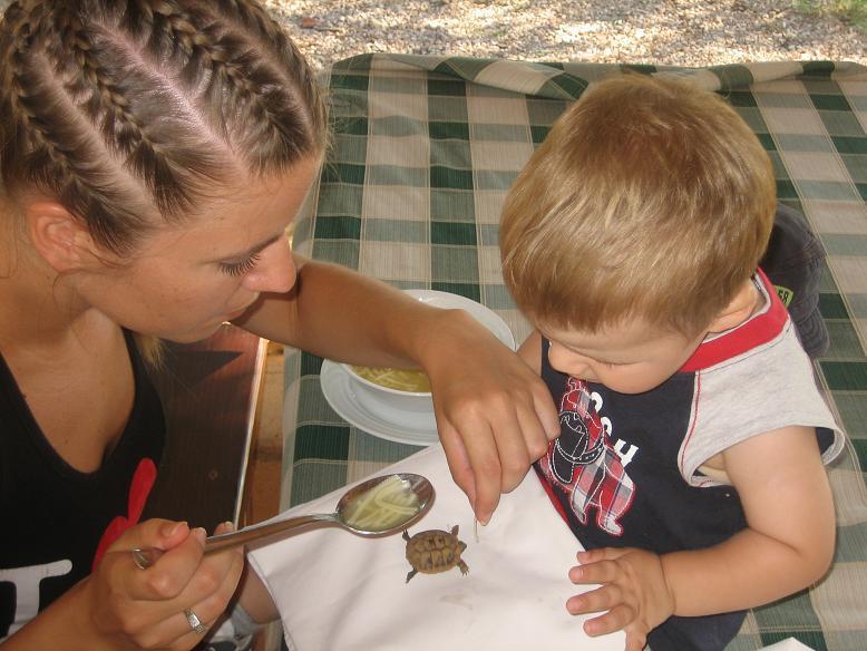 Hotel Agrotourism Galic Krka Drinovci Zewnętrze zdjęcie