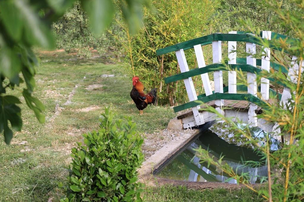 Hotel Agrotourism Galic Krka Drinovci Zewnętrze zdjęcie