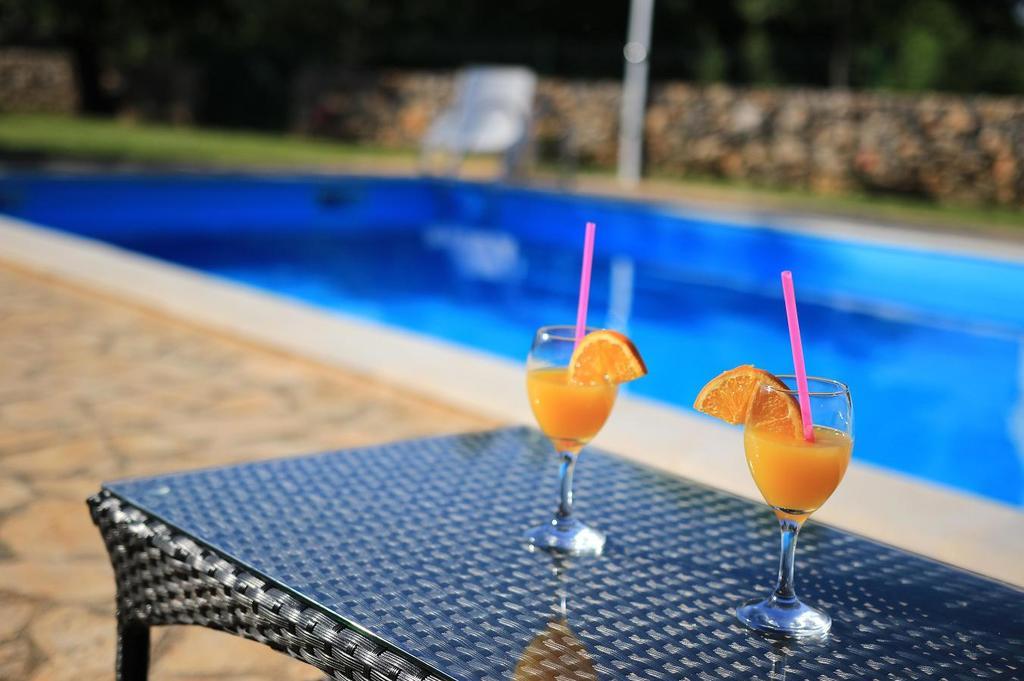 Hotel Agrotourism Galic Krka Drinovci Zewnętrze zdjęcie